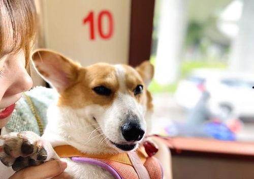 大懒猫娱乐八卦爆料吃瓜,娱乐圈最新八卦大揭秘！  第2张