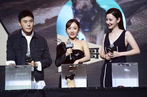 吃瓜娱乐圈原声创作 第3张 吃瓜娱乐圈原声创作 第3张