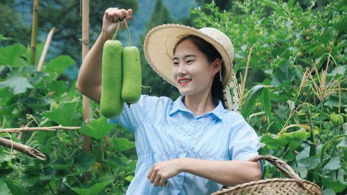 娱乐吃瓜酱老伞,揭秘老伞背后的故事与传奇 第3张 娱乐吃瓜酱老伞,揭秘老伞背后的故事与传奇 第3张